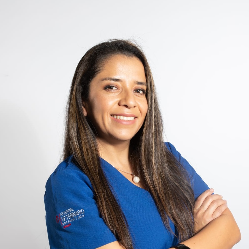 María Elena González